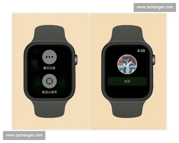 全面解析体育官网登录入口最新功能及安全使用指南